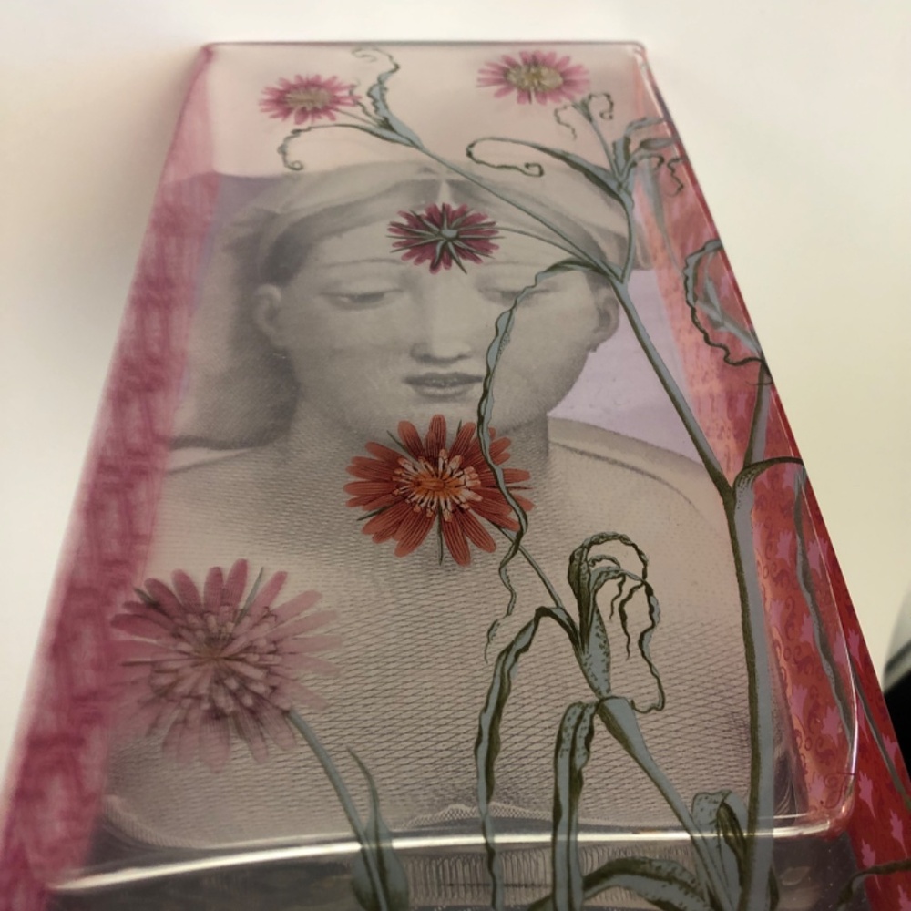 Fringe Studio Rare Glass Vessel NEW! Beautiful Translucent Images on All 4 Sides - Picture 7 of 16
